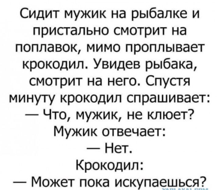 Сидит мужик на рыбалке и пристально смотрит на поплавок мимо проплывает крокодил Увидев рыбака смотрит на него Спустя минуту крокодил спрашивает Что мужик не клюет Мужик отвечает Нет Крокодил Может пока искупаешься