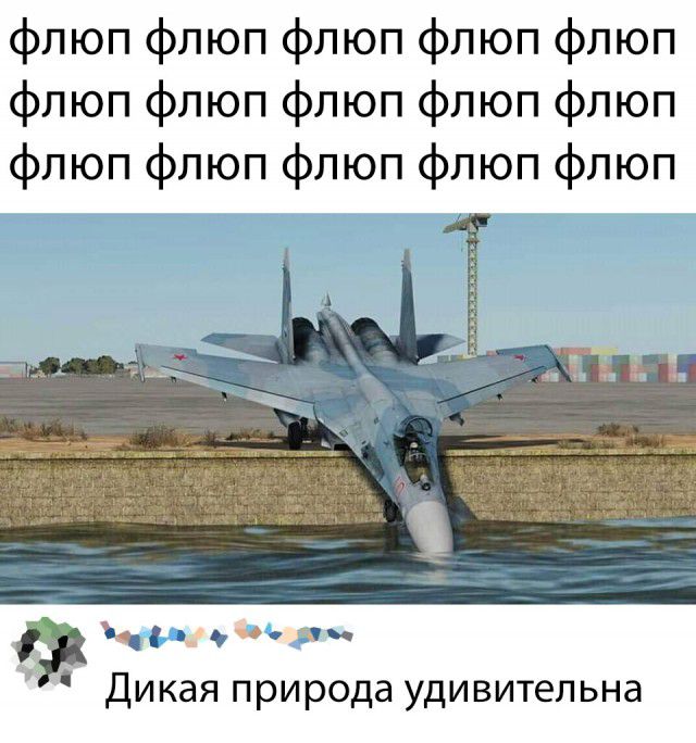 флюп флюп флюп флюп флюп флюп флюп флюп флюп флюп флюп флюп флюп флюп флюп ца чь ДИКЭЯ природа УДИВИТЕЛЬНЭ