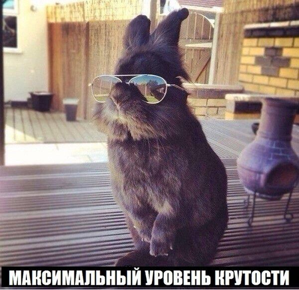 _аТИ і_мнеъімдпьныи игонънь йгпоети