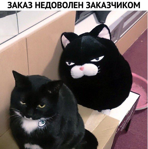 ЗАКАЗ НЕДОВОЛЕН ЗАКАЗЧИКОМ г и