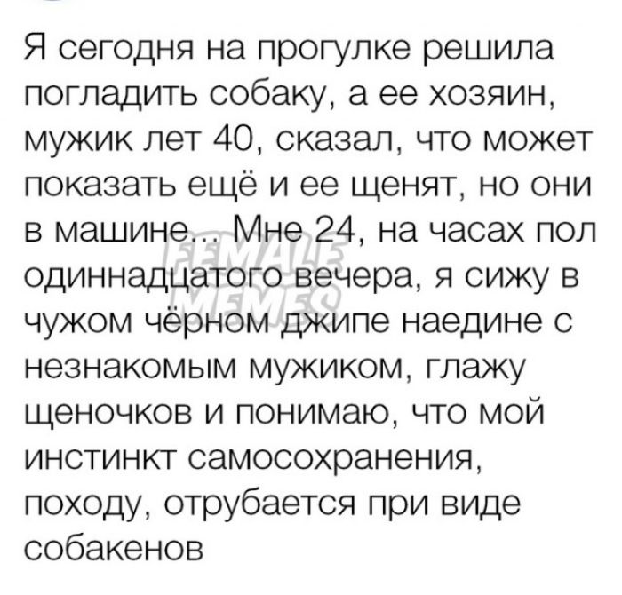 Я сегодня на прогулке решила погладить собаку а ее хозяин мужик лет 40 сказал что может показать ещё и ее щенят но они в машине Мне 24 на часах пол одиннадцатого вечера я сижу в чужом чёрном джипе наедине с незнакомым мужиком глажу щеночков и понимаю что мой инстинкт самосохранения походу отрубается при виде собакенов