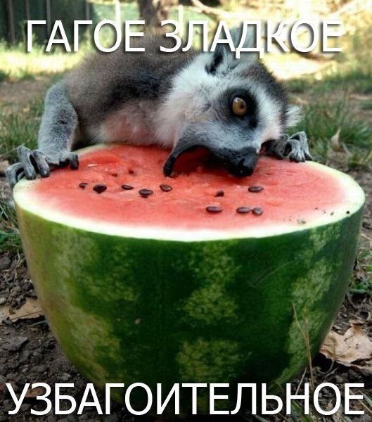 1 УЗБАГОИТЕЛЬНЩБ