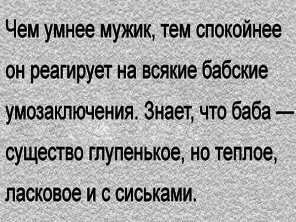 Чем умнее мужик тем спокойнее он реагирует на всякие бабские умозаключения Знает что баба существо гпупенькое но теплое ласковое и с сиськами