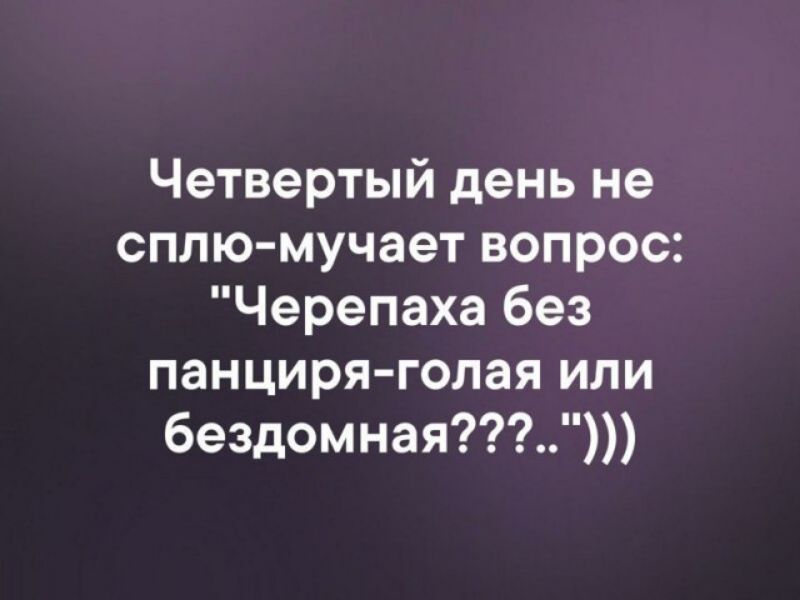 Четвертый день не сплю мучает вопрос Черепаха без панциря голая или бездомная