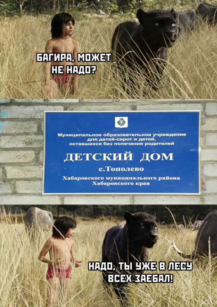 иуииципшыю ьбимпьш тд п дпп д пйераг и мымхм 63 поп и родит поп ДЕТСКИЙ дом сТополево Х Мроппщго иу пп п ль ош рп Хип ранено кр