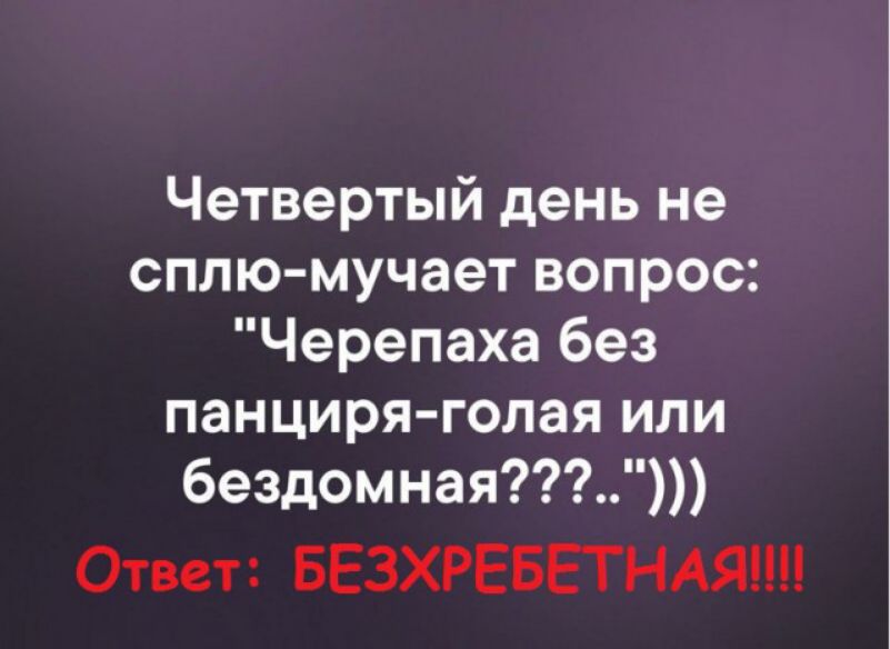 Четвертый день не сплю мучает вопрос Черепаха без панциря голая или бездомная Ответ БЕЗХРЕБЕТНАЯ
