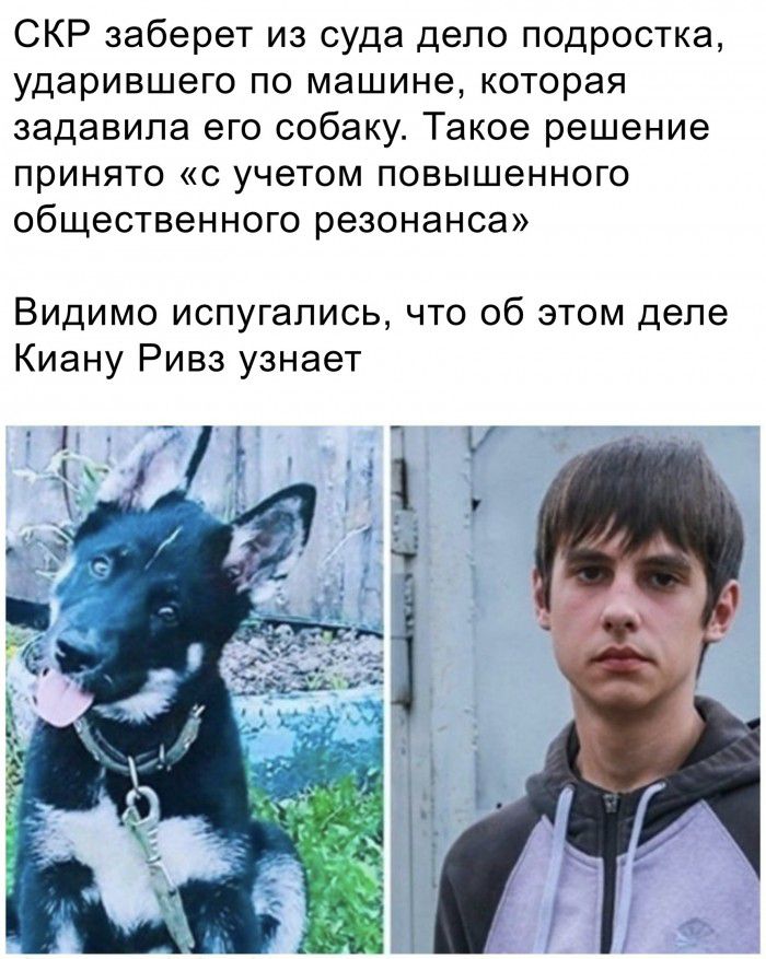 СКР заберет из суда депо подростка ударившего по машине которая задавипа его собаку Такое решение принято с учетом повышенного общественного резонанса Видимо испугались что об этом деле Киану Ривз узнает