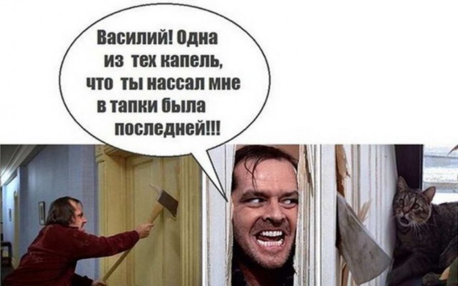Василий одна ИЗ ТЕХ капель что ТЫ 800811 ШШ В тапки пьша последней