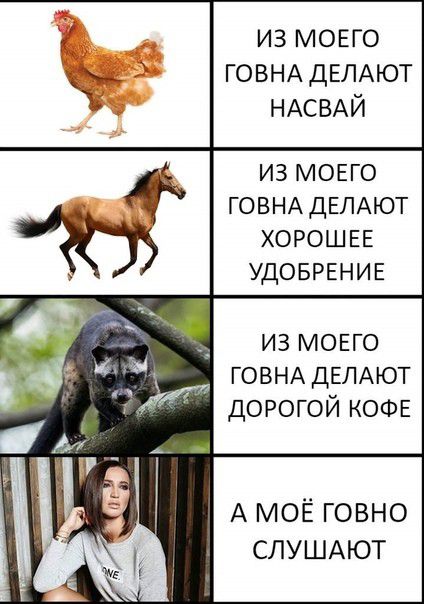 из МОЕГО ГОВНА ДЕЛАЮТ НАСВАЙ ИЗ МОЕГО ГОВНА ДЕЛАЮТ ХОРОШЕЕ УДОБРЕНИЕ д _ из МОЕГО г ГОВНА ДЕЛАЮТ и дорогой КОФЕ А МОЁ говно СЛУШАЮТ