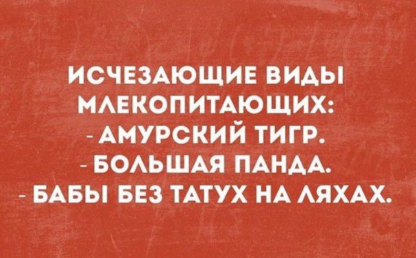 исчезАюшин виды ммэкопипюших АМУРСКИЙ тигр БОАЬШАЯ ПАНАА БАБЫ 553 тип НА АяхАх