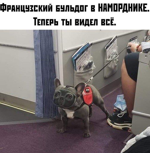 Фпяицнзпкип вильдпг ннмппдникн ТЕПЕРЬ ты виды всі