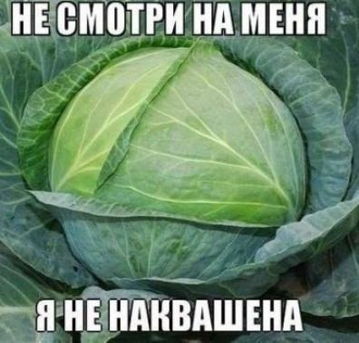 ЯНЕ нпквпшннп