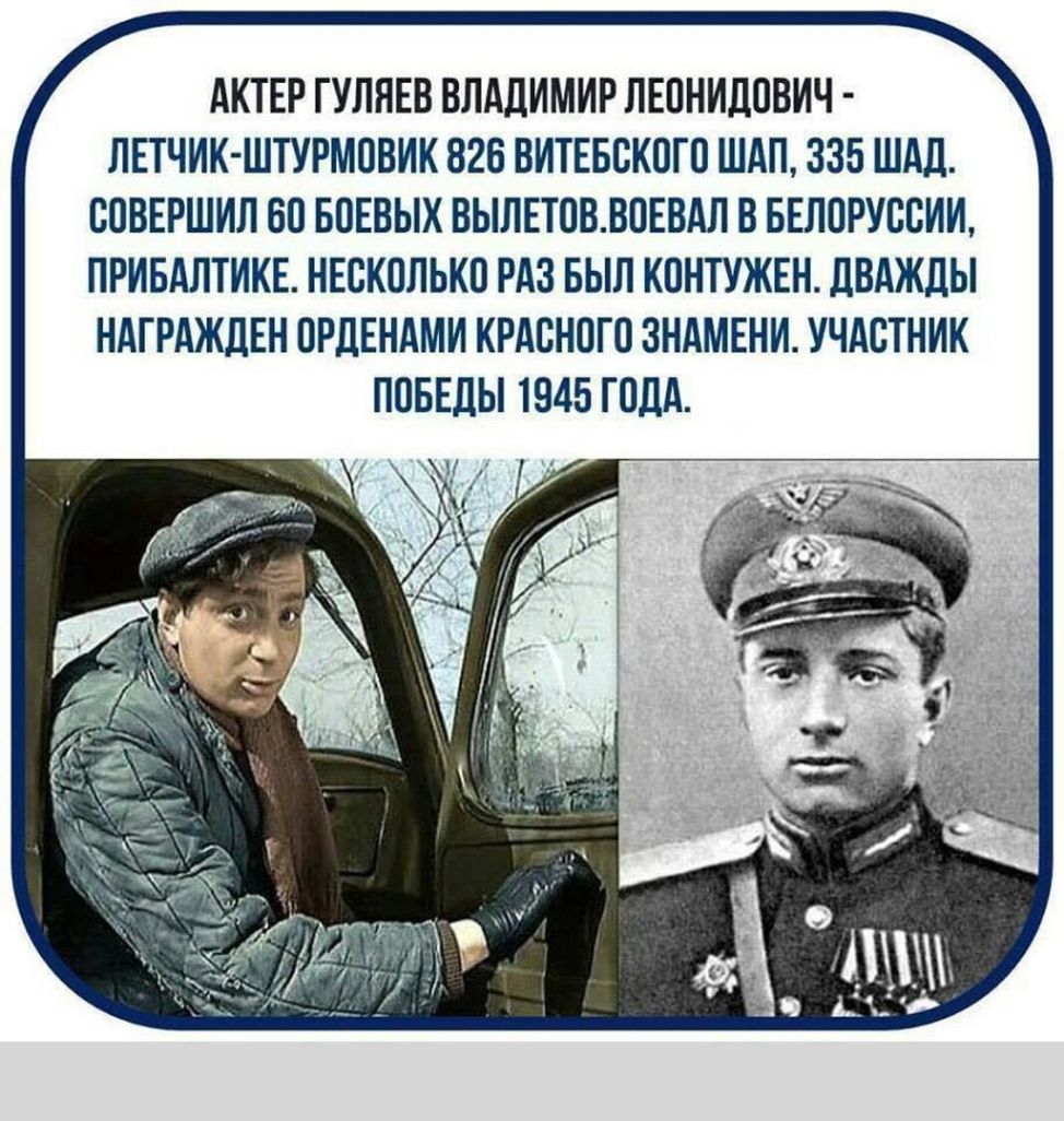 Владимир Гуляев летчик-Штурмовик