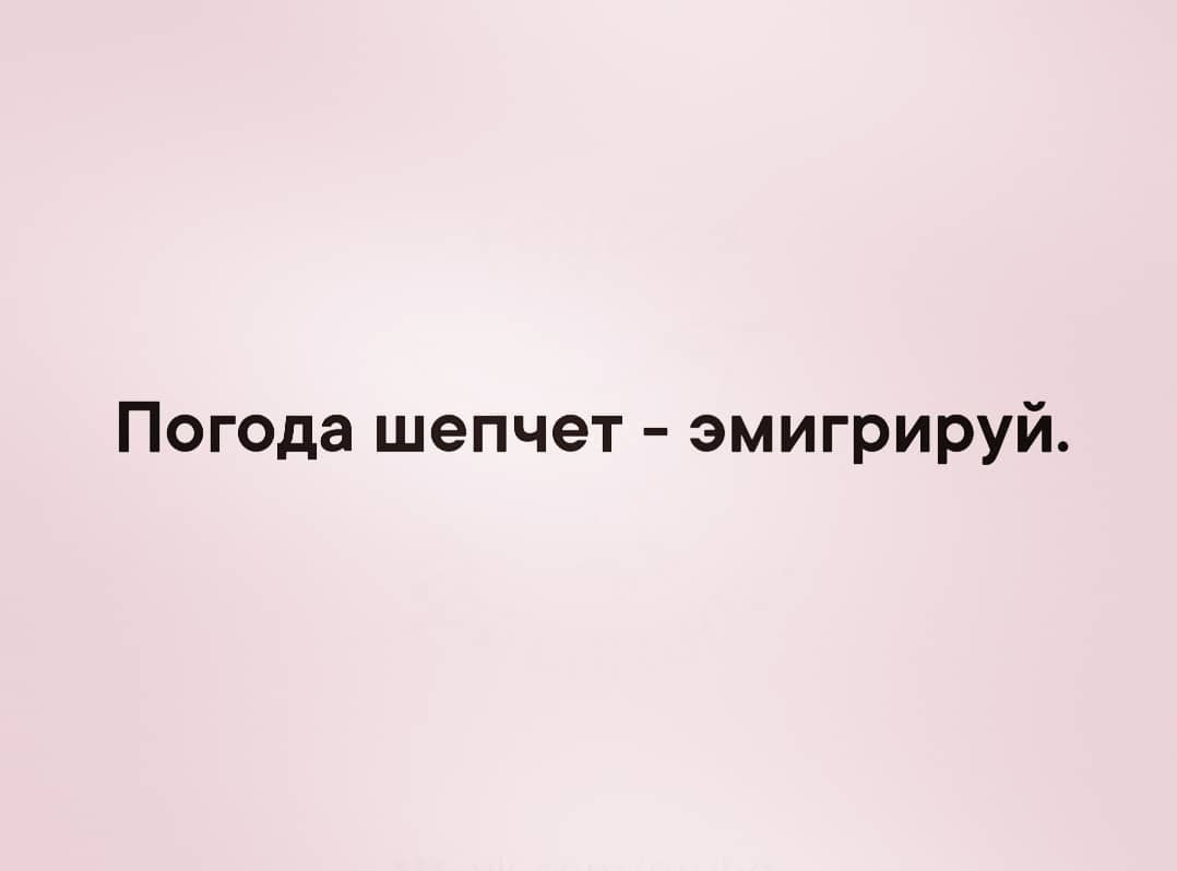 Погода шепчет эмигрируй