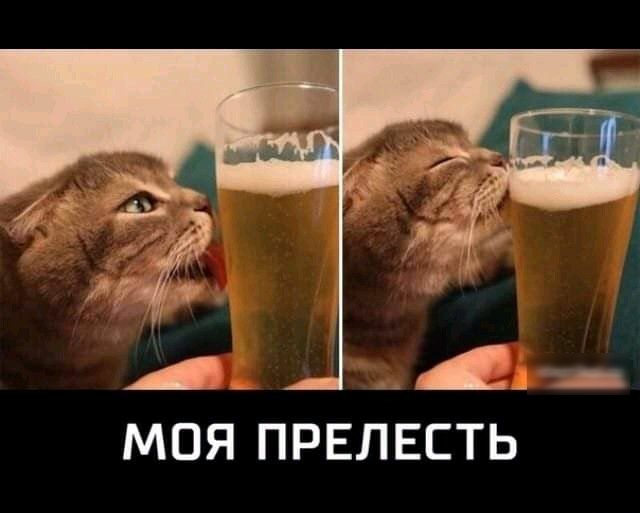А _ д _ _ МОЯ ПРЕЛЕЕТЬ