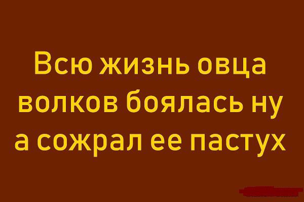 Всю жизнь овца волков боялась ну а сожрал ее пастух