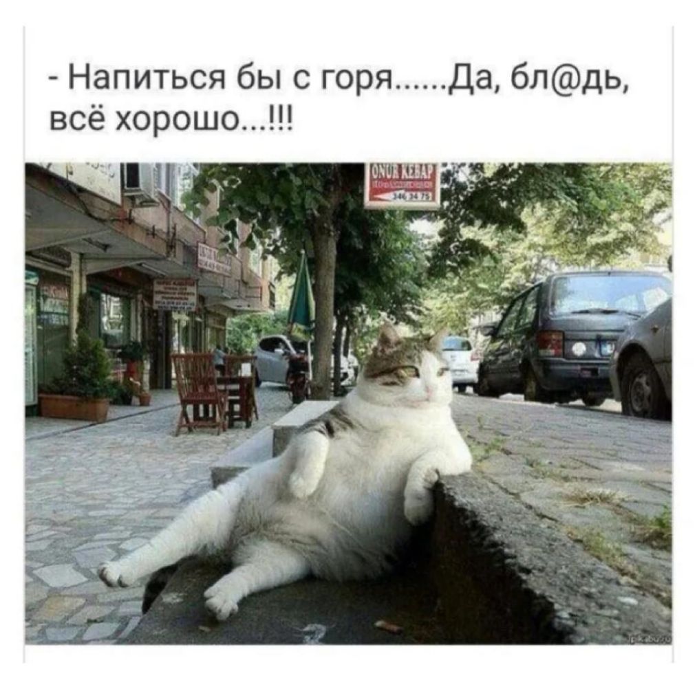 Напиться бы с горя Да блдь всё хорошо