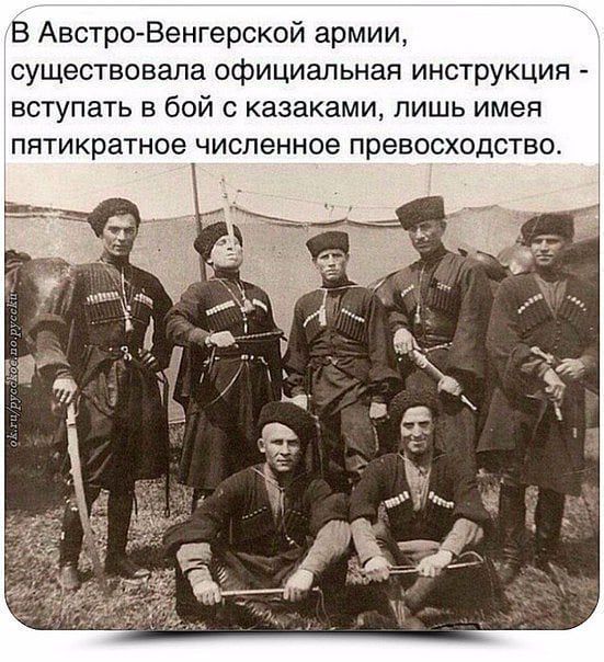 В АвстроВенгерской армии существовала официальная инструкция вступать в бой с казаками лишь имея пятикратное численное превосходство