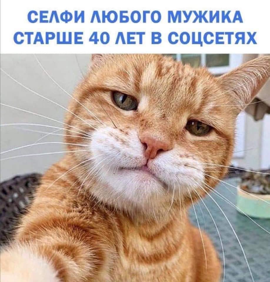 СЕАФИ АЮБОГО МУЖИКА СТАРШЕ 40 АЕТ В СОЦСЕТЯХ
