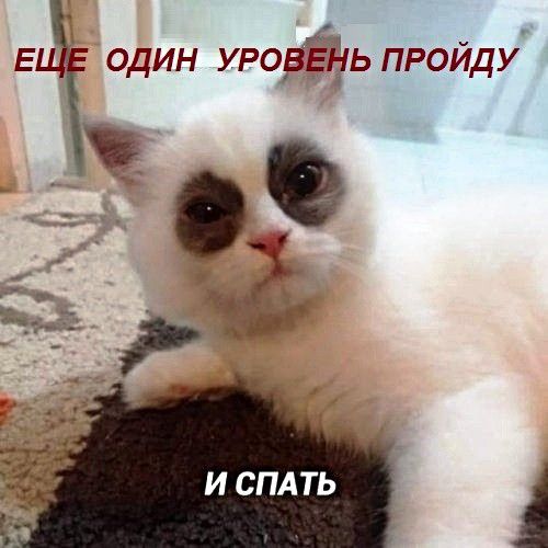 ЕЬі один уроВЁЗь пройду