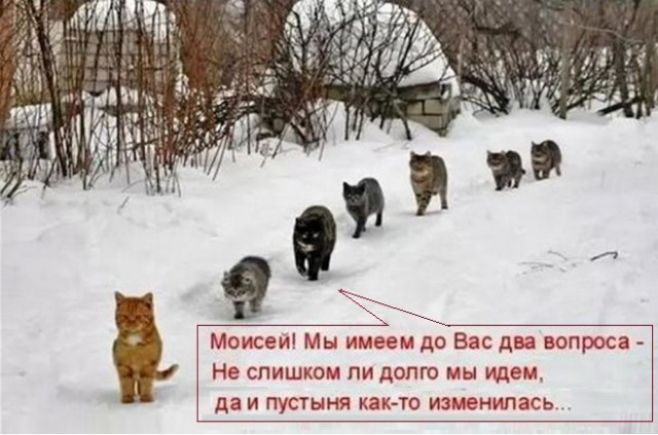 Моисеи Мы имеем до Вас два вопроса Не слишком пн долго мы идем да и пустыня как то изменилась