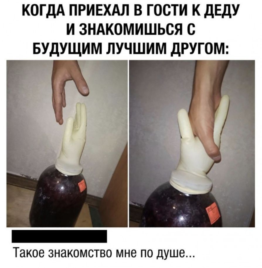КОГДА ПРИЕХАЛ В ГОСТИ К ДЕДУ И ЗНАКОМИШЬСЯ С БУДУЩИМ ЛУЧШИМ ДРУГОМ Такое знакомство мне по душе