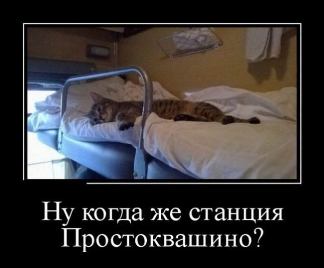 Ну когда же станция Простоквашино
