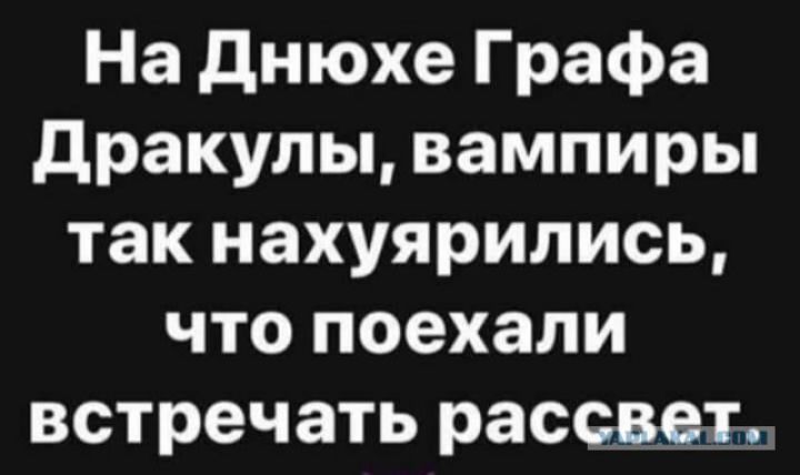 На днюхе Графа дракулы вампиры так нахуярились что поехали встречать рассвет