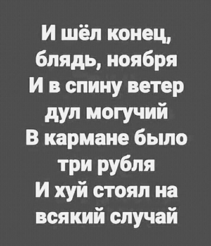 И шёл конец блядь ноября И в спину ветер дул могучий В кармане было три рубля И хуй стоял на всякий случай