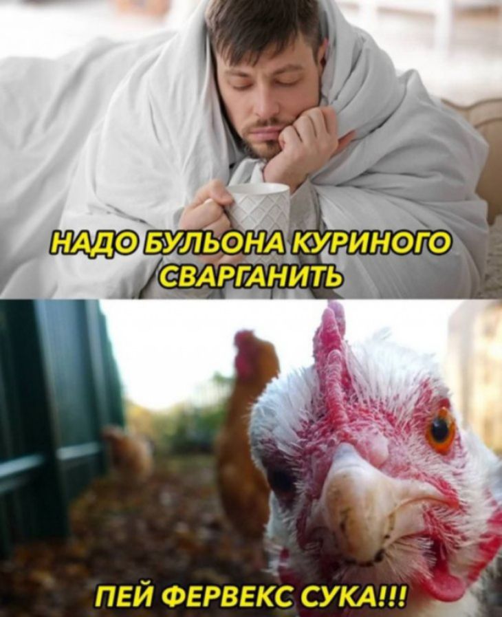 д пей Фервекс суки