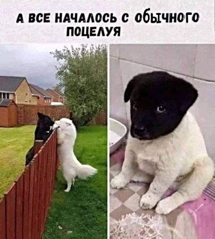 А все ндчмось с обычного поцелуя
