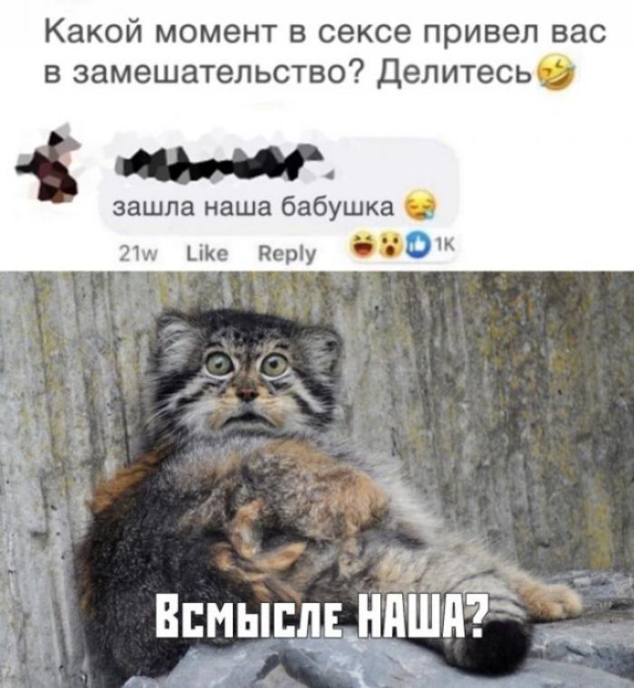 Какой момент в сексе привел вас в замешательство Делитесьид зашла наша бабушка 21 ьікв Періу 53 к _ Всмыплв ндШд_ 7
