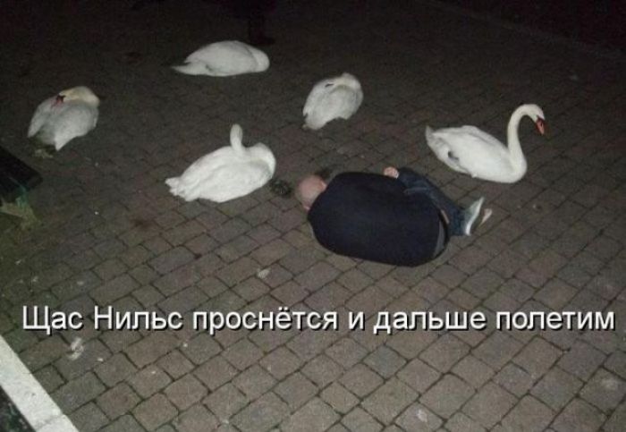 Щас Нильс проснётся и дальше попетим