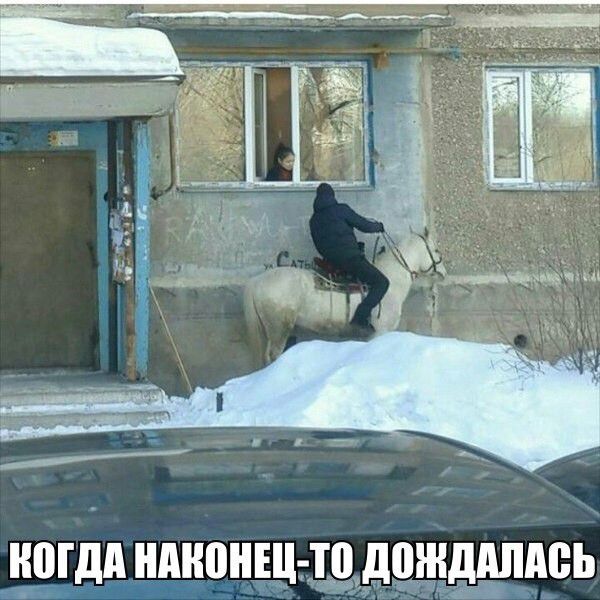 идионщтто дождались
