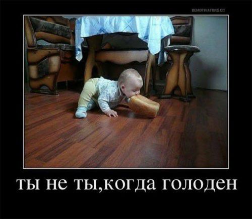 ТЫ не ТЫКОГДЭ ГОЛОДСН
