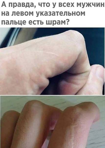 А правда что у всех мужчин на левом указательном пальце есть шрам