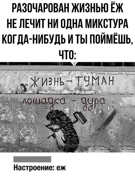 РАЗВЧАРОВАН ЖИЗНЬЮ ЁЖ НЕ ЛЕЧИТ НИ ОДНА МИКБТУРА КОГДА НИБУДЬ И ТЫ ППИМЁШЬ ЧТО Настроение еж