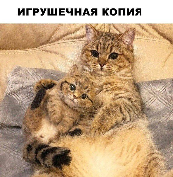ИГРУШЕЧНАЯ КОПИЯ