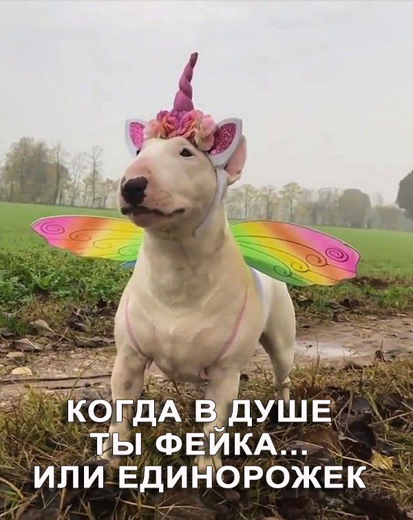 іЬ ИЛИ ЕДИНОРОЖЕК у