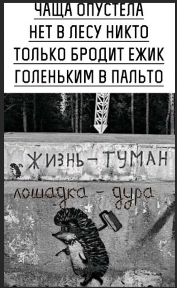 НЕТ В ПЕЕУ НИКТО ТОЛЬКО БРОДИТ ЕЖИК АП