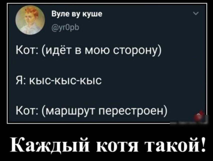Вупе ву куше угОрЬ Кот идёт в мою сторону Я кыс кыс кыс Кот маршрут перестроен Каждый котя такой