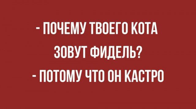 ПОЧЕМУ ТВОЕГО КОТА ЗОВУТ ФИДЕЛЬ ПОТОМУ ЧТО ОН КАСТРО