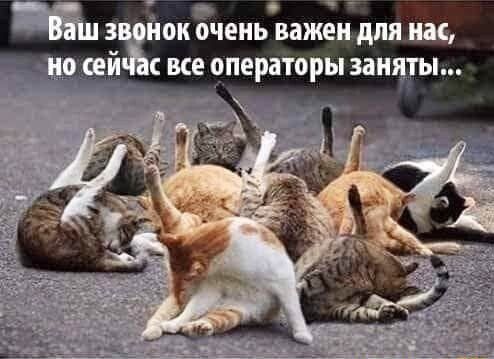 О _ 3 йок очень важен для ии