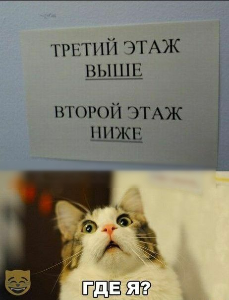 трвтий ЭТАЖ вьппв второй ЭТАЖ НИЖЕ ЕЩЁ