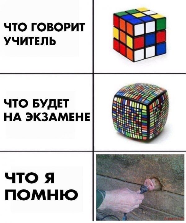 ЧТО ГОВОРИТ УЧ ИТЕЛ Ь что БУДЕТ НА эк3Амннн