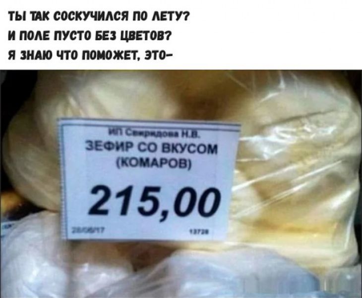 ТЫ ПК светился по АЕТУ И ПОАЕ пусто БЕЗ ЦВЕТОВ Я ЗНАЮ что поможет ЭТО