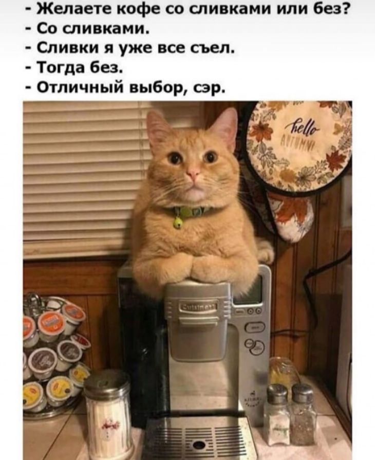Желаете кофе со сливками или без Со сливками Сливки я уже все съел Тогда без Отличный выбор эр
