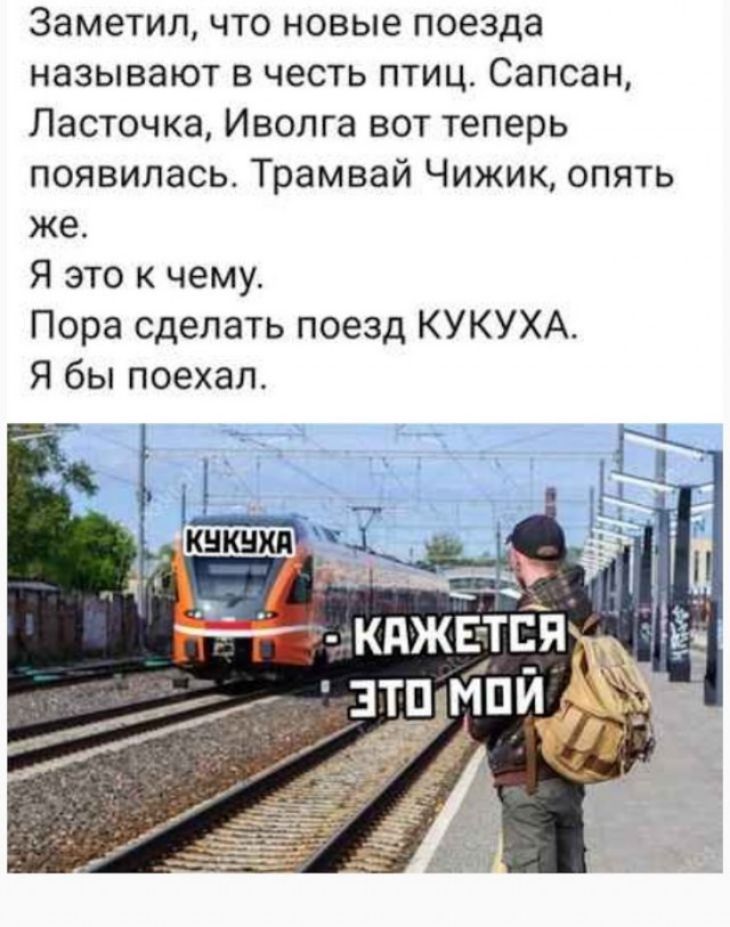 Заметил что новые поезда называют в честь птиц Сапсан Ласточка Иволга вот теперь появилась Трамвай Чижик опять же Я это к чему Пора сделать поезд КУКУХА Я бы поехал