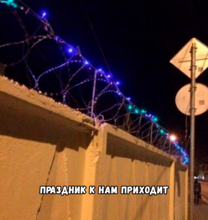 пт дина или приходит 55