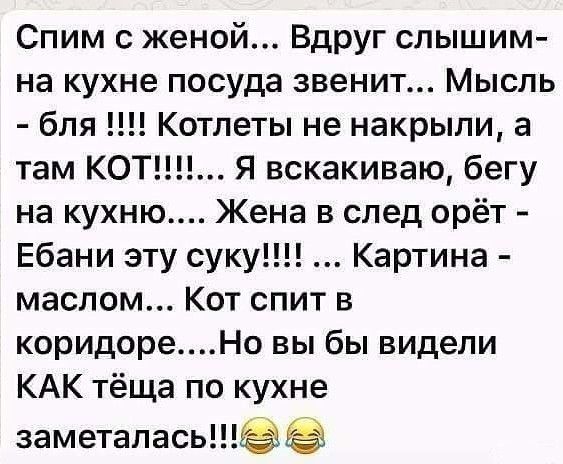 Спим с женой Вдруг слышим на кухне посуда звенит Мысль бля Котлеты не накрыли а там КОТ Я вскакиваю бегу на кухню Жена в след орёт Ебани эту суку Картина маслом Кот спит в коридореНо вы бы видели КАК тёща по кухне заметалась